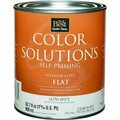Worldwide Sourcing Color Solutions Self-Priming Latex Flat Interior Wall Paint CS46W0801-14